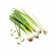 Onion - Green 
