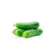 Baby Cucumber
