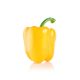 Bell Pepper - Yellow