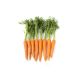 Carrots With Leaves 