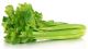 Celery 