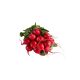 Radish With Leaves 