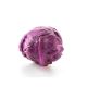 Red Cabbage