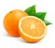 Valencia Orange