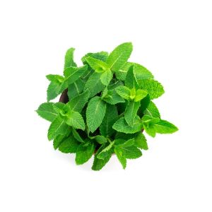 Mint