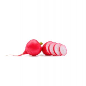 Radish Without Leaves