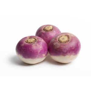 Turnip